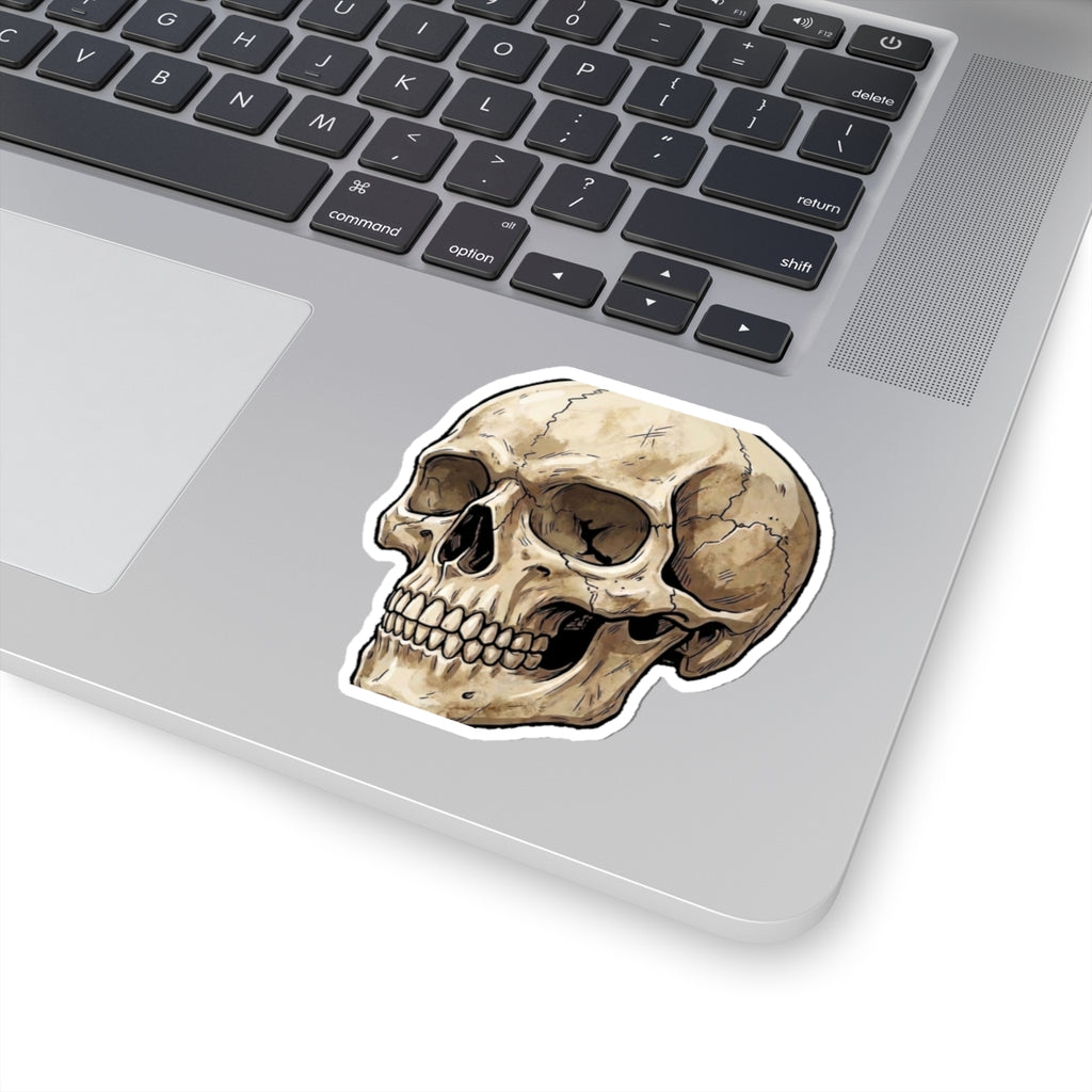 Skull Kiss-Cut Sticker — Vintage Anatomical Skull Decal for Laptops & Journals