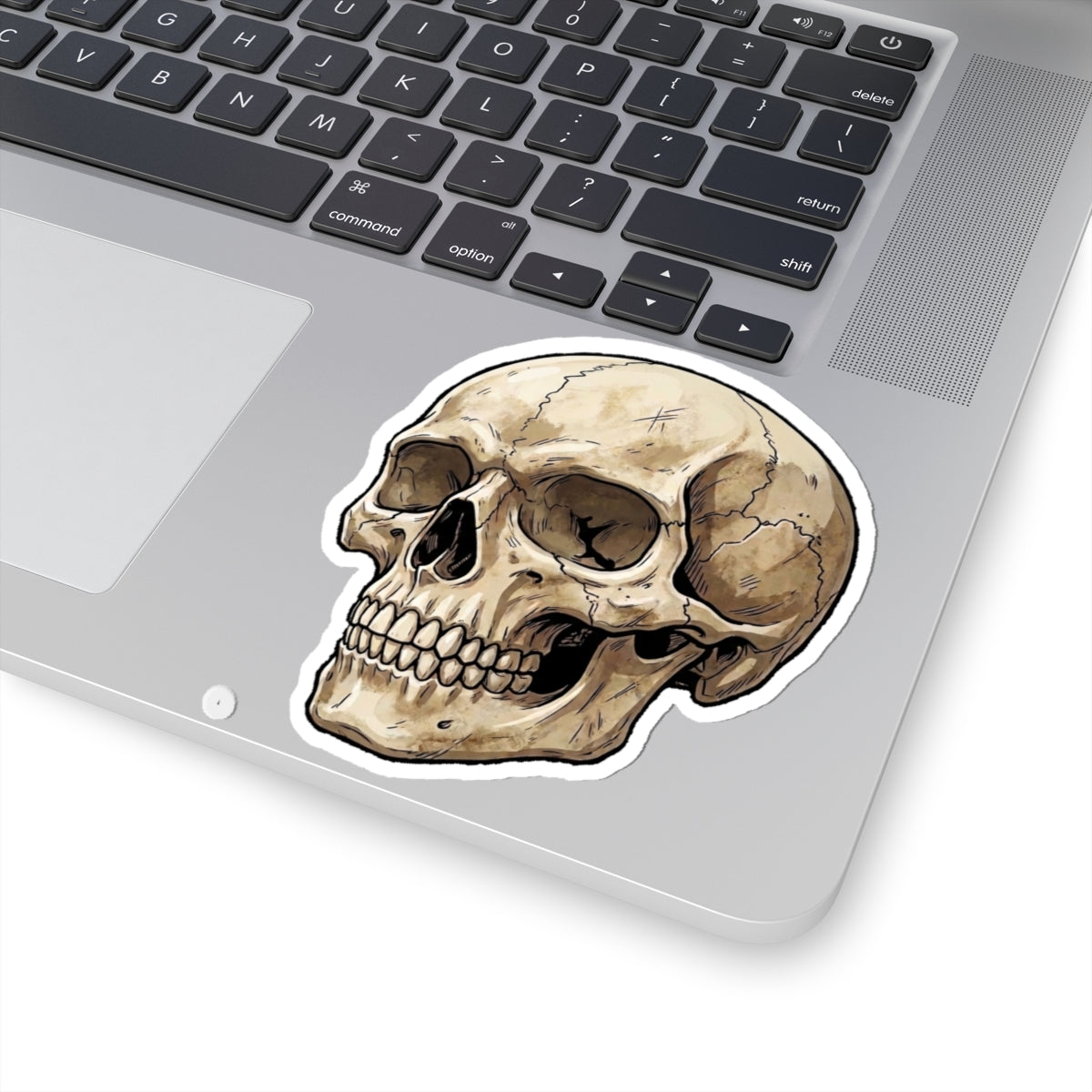 Skull Kiss-Cut Sticker — Vintage Anatomical Skull Decal for Laptops & Journals