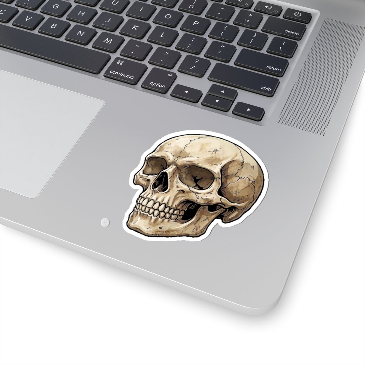 Skull Kiss-Cut Sticker — Vintage Anatomical Skull Decal for Laptops & Journals