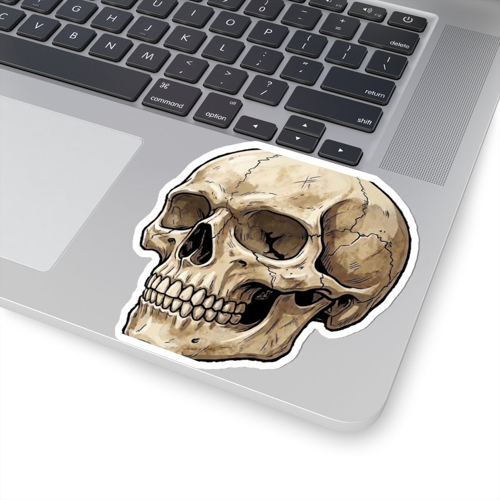 Skull Kiss-Cut Sticker — Vintage Anatomical Skull Decal for Laptops & Journals