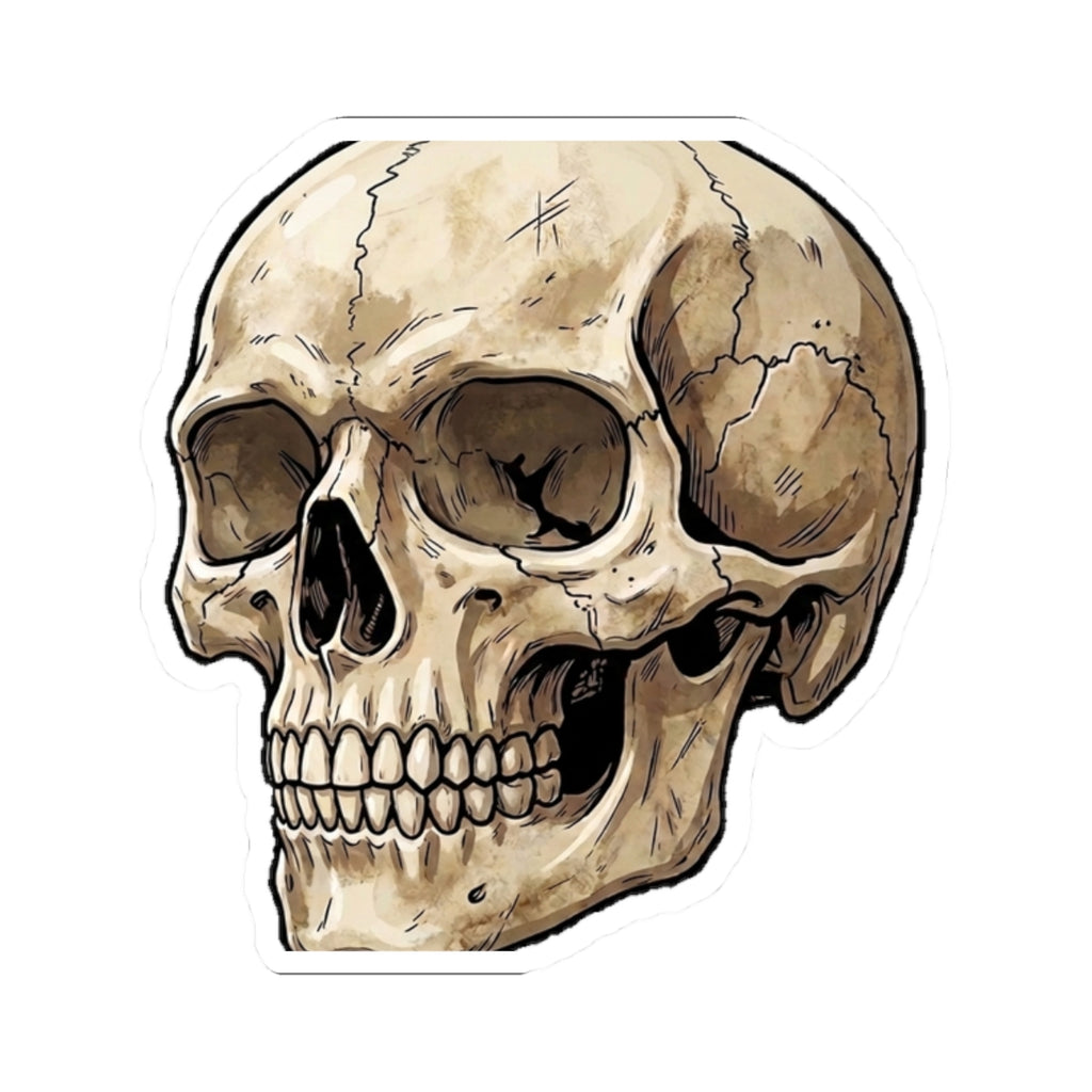 Skull Kiss-Cut Sticker — Vintage Anatomical Skull Decal for Laptops & Journals