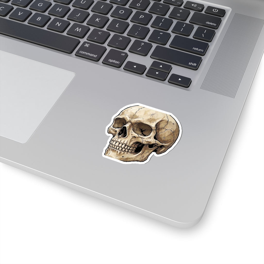 Skull Kiss-Cut Sticker — Vintage Anatomical Skull Decal for Laptops & Journals