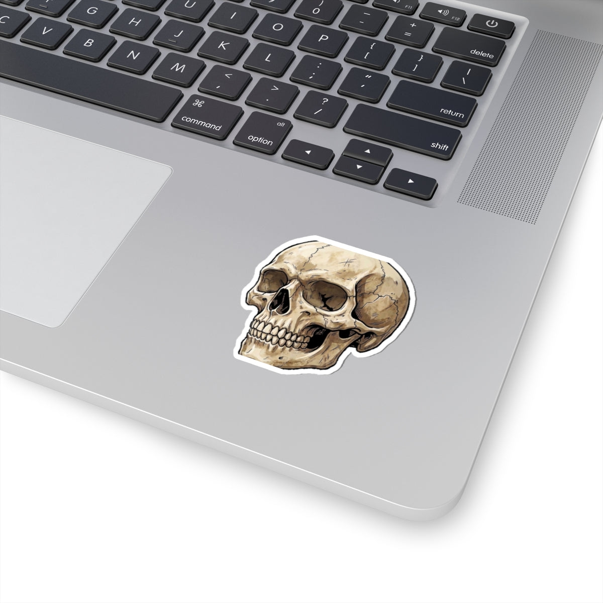 Skull Kiss-Cut Sticker — Vintage Anatomical Skull Decal for Laptops & Journals